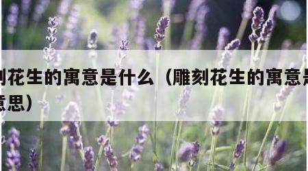 雕刻花生的寓意是什么（雕刻花生的寓意是什么意思）