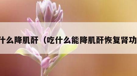 吃什么降肌酐（吃什么能降肌酐恢复肾功能）