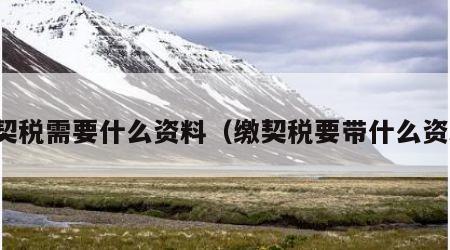 缴契税需要什么资料（缴契税要带什么资料）