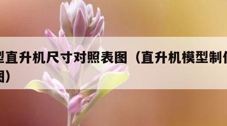 模型直升机尺寸对照表图（直升机模型制作设计图）