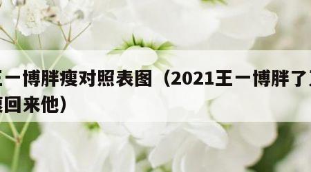 王一博胖瘦对照表图（2021王一博胖了又瘦回来他）