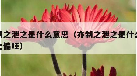 亦制之泄之是什么意思（亦制之泄之是什么意思土偏旺）