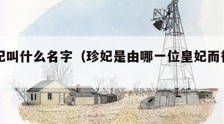 珍妃叫什么名字（珍妃是由哪一位皇妃而得名）