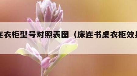 床连衣柜型号对照表图（床连书桌衣柜效果图）