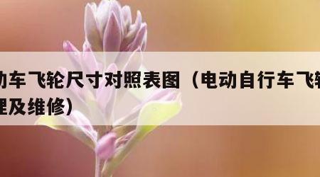 电动车飞轮尺寸对照表图（电动自行车飞轮的原理及维修）