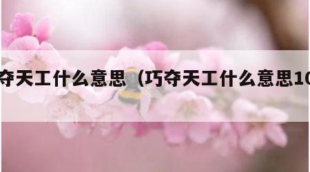 巧夺天工什么意思（巧夺天工什么意思10字）