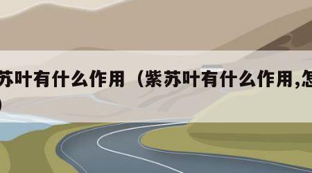 紫苏叶有什么作用（紫苏叶有什么作用,怎么吃）