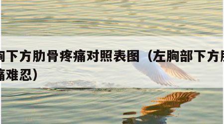 左胸下方肋骨疼痛对照表图（左胸部下方肋骨疼痛难忍）