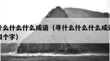 寻什么什么什么成语（寻什么什么什么成语大全四个字）