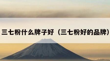 三七粉什么牌子好（三七粉好的品牌）