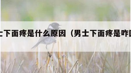 男士下面疼是什么原因（男士下面疼是咋回事）