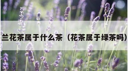兰花茶属于什么茶（花茶属于绿茶吗）