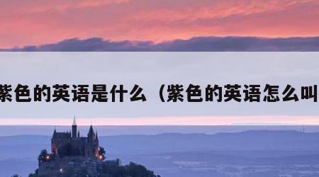 紫色的英语是什么（紫色的英语怎么叫）