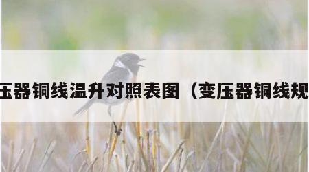 变压器铜线温升对照表图（变压器铜线规格）