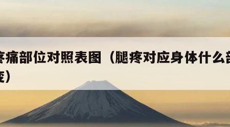 腿疼痛部位对照表图（腿疼对应身体什么部位病变）