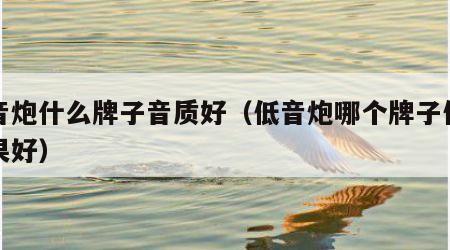 低音炮什么牌子音质好（低音炮哪个牌子低音效果好）