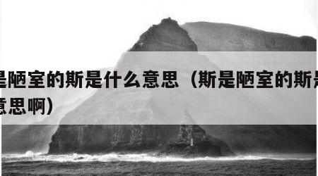 斯是陋室的斯是什么意思（斯是陋室的斯是什么意思啊）