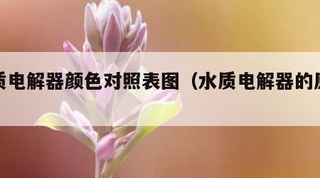 水质电解器颜色对照表图（水质电解器的原理图）