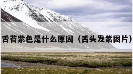 舌苔紫色是什么原因（舌头发紫图片）