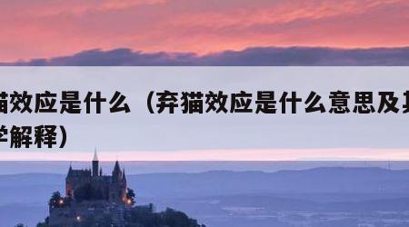 弃猫效应是什么（弃猫效应是什么意思及其心理学解释）