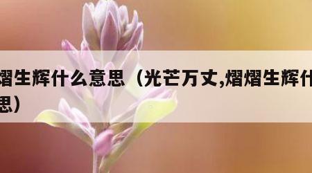 熠熠生辉什么意思（光芒万丈,熠熠生辉什么意思）