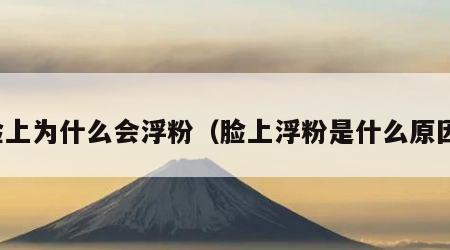 脸上为什么会浮粉（脸上浮粉是什么原因）