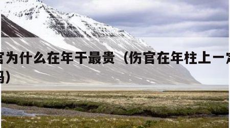伤官为什么在年干最贵（伤官在年柱上一定不好吗）
