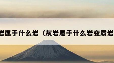 灰岩属于什么岩（灰岩属于什么岩变质岩类）