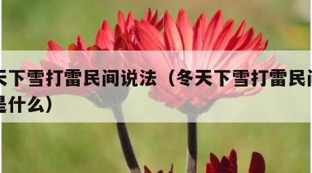 冬天下雪打雷民间说法（冬天下雪打雷民间说法是什么）