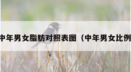 中年男女脂肪对照表图（中年男女比例）