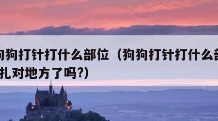 给狗狗打针打什么部位（狗狗打针打什么部位?你扎对地方了吗?）