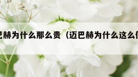 迈巴赫为什么那么贵（迈巴赫为什么这么便宜）