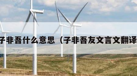 子非吾什么意思（子非吾友文言文翻译）