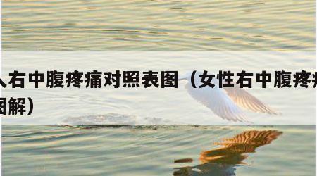 女人右中腹疼痛对照表图（女性右中腹疼痛部位图解）