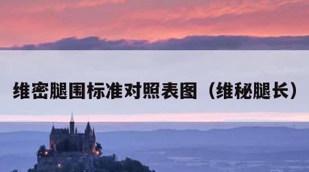 维密腿围标准对照表图（维秘腿长）
