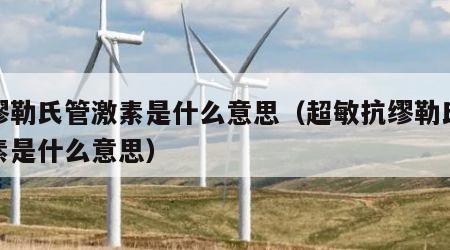 抗缪勒氏管激素是什么意思（超敏抗缪勒氏管激素是什么意思）