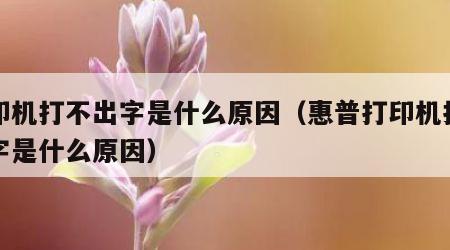 打印机打不出字是什么原因（惠普打印机打不出字是什么原因）