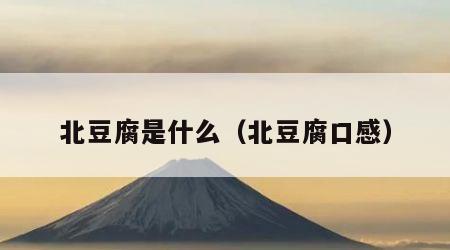 北豆腐是什么（北豆腐口感）