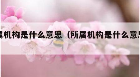 所属机构是什么意思（所属机构是什么意思药店）