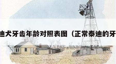 泰迪犬牙齿年龄对照表图（正常泰迪的牙齿）