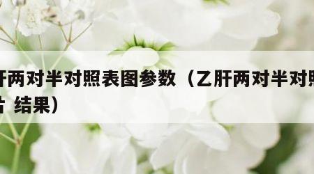乙肝两对半对照表图参数（乙肝两对半对照表图片 结果）
