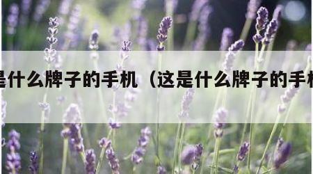 这是什么牌子的手机（这是什么牌子的手机英语）