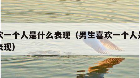 喜欢一个人是什么表现（男生喜欢一个人是什么表现）