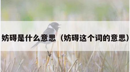 妨碍是什么意思（妨碍这个词的意思）