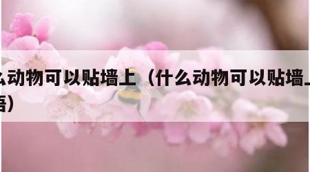什么动物可以贴墙上（什么动物可以贴墙上猜谜语）
