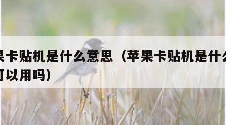 苹果卡贴机是什么意思（苹果卡贴机是什么意思可以用吗）