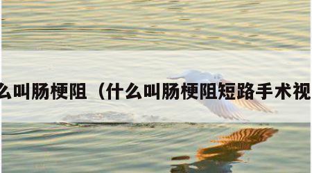 什么叫肠梗阻（什么叫肠梗阻短路手术视频）