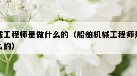 机械工程师是做什么的（船舶机械工程师是做什么的）