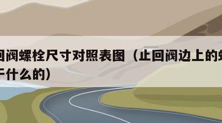 止回阀螺栓尺寸对照表图（止回阀边上的螺栓是干什么的）