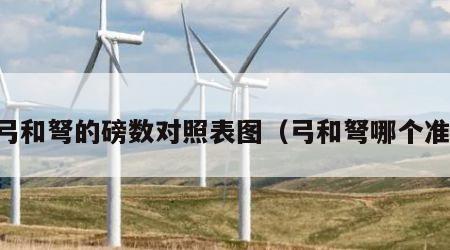 弓和弩的磅数对照表图（弓和弩哪个准）